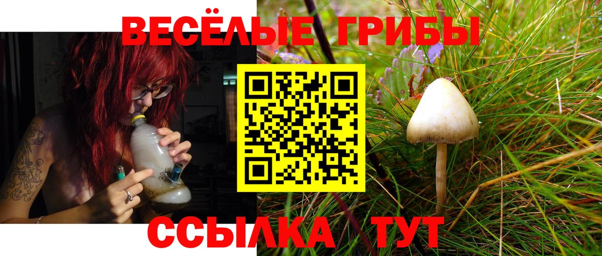 Галлюциногенные грибы Psilocybine cubensis  Вход с VPN  Галлюциногенные грибы Cubensis  Электросталь 