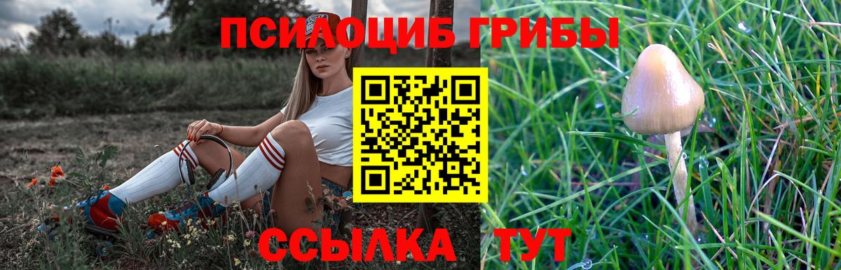 Псилоцибиновые грибы Psilocybe Электросталь