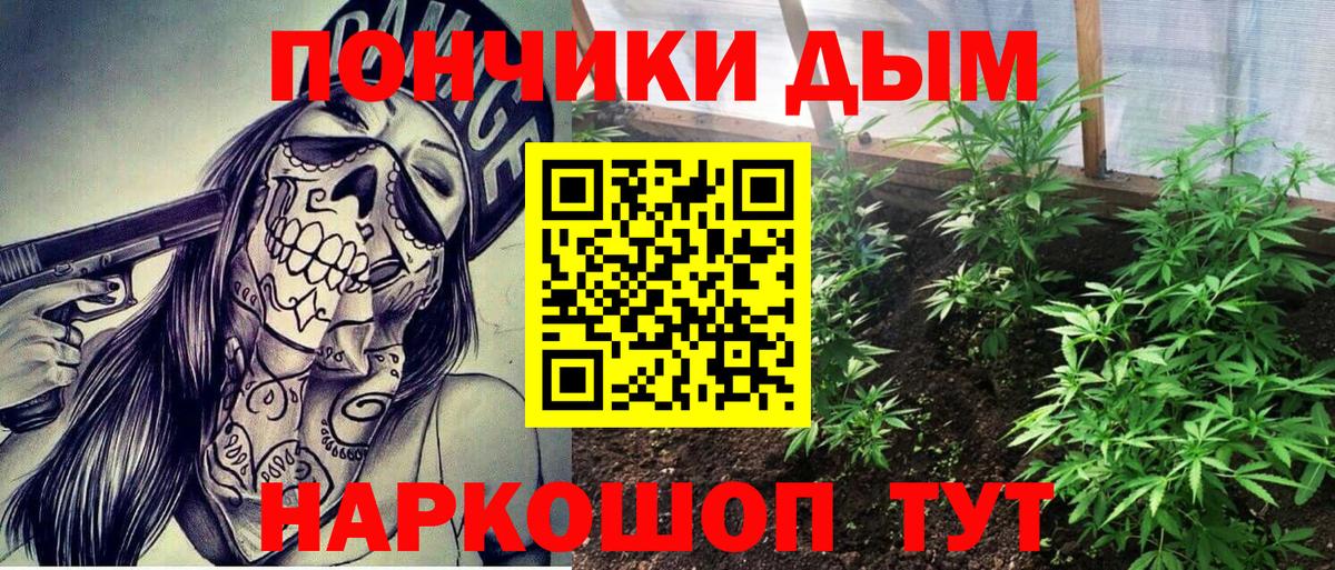 Бошки Шишки сатива Электросталь